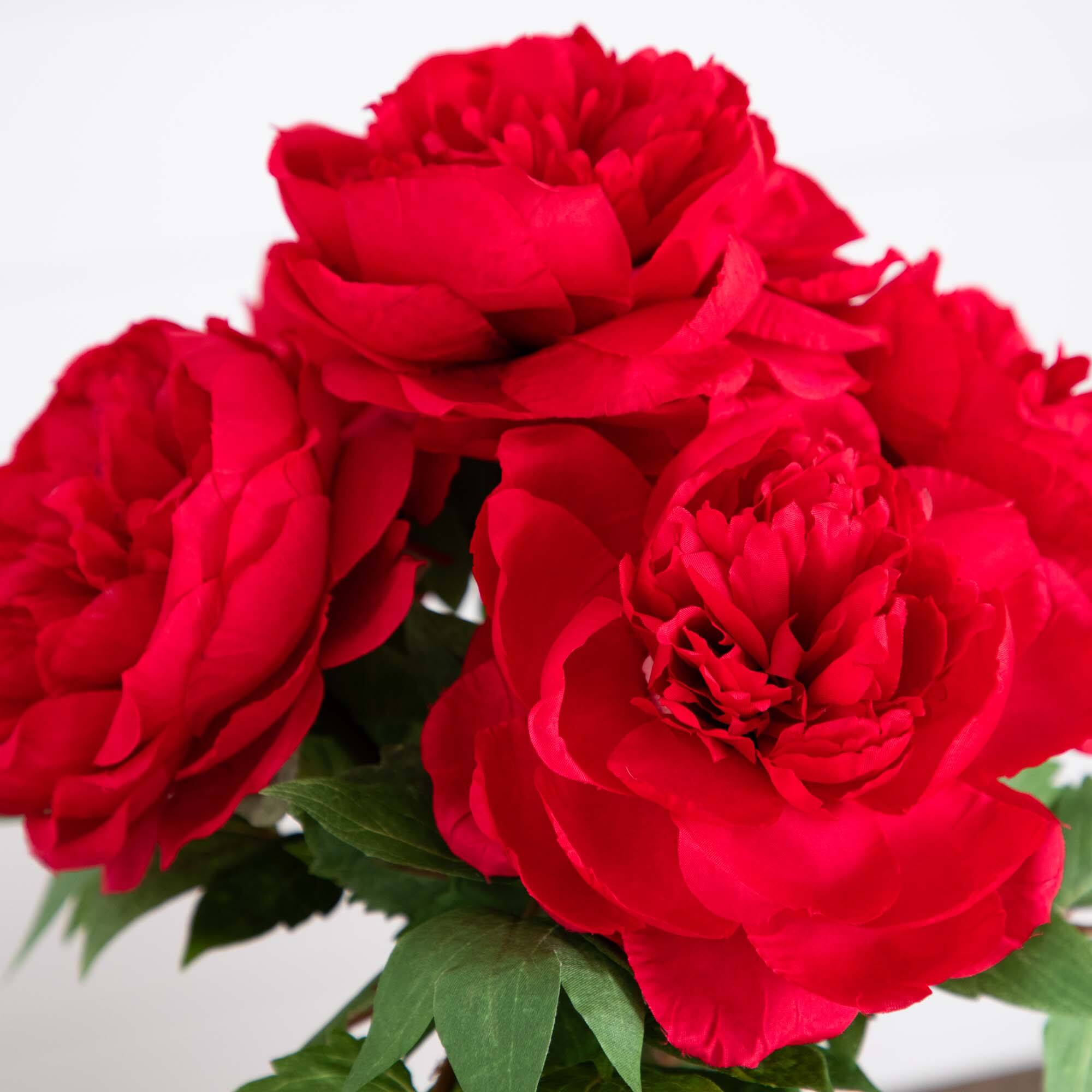 16" Red Peony Arrangement in Glass Vase